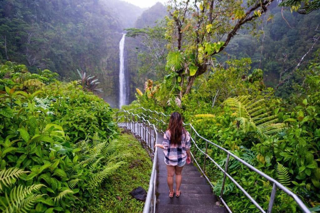 The Honomu House - Gorgeous, Spacious 4Bd2Ba Home Near Waterfalls And Hilo, Sleeps 12! Exteriér fotografie