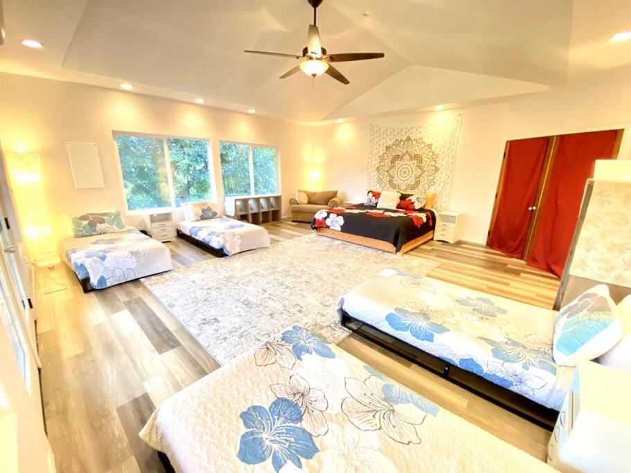 The Honomu House - Gorgeous, Spacious 4Bd2Ba Home Near Waterfalls And Hilo, Sleeps 12! Exteriér fotografie